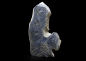 Preview: Indo-Pazifische Blaue Korallenplatte - Blue Ridge Coral Slab Heliopora Coerulea - Blaue Koralle Nr. 1