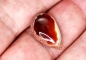 Preview: Mexikanischer Feueropal ca. 10,6 Carat Cabochon Nr. 3