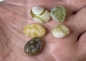 Preview: Wüste Gobi Augenachat Wüstenachat Mongolei Lot no. 1