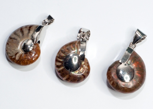 Ammoniten Anhänger, gefasst, 30 - 40 mm
