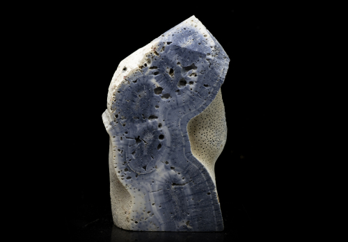 Indo-Pazifische Blaue Korallenplatte - Blue Ridge Coral Slab Heliopora Coerulea - Blaue Koralle Nr. 2