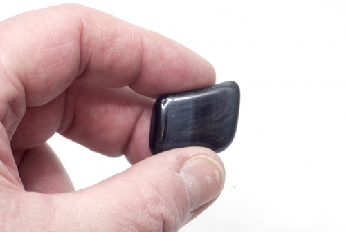 Falkenauge, Größe L