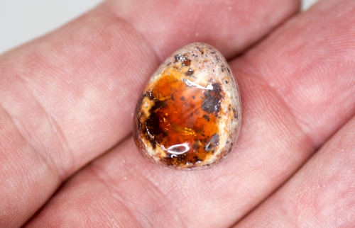 Mexikanischer Feueropal ca. 18,4 Carat Cabochon Nr. 2