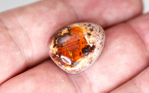 Mexikanischer Feueropal ca. 18,4 Carat Cabochon Nr. 2