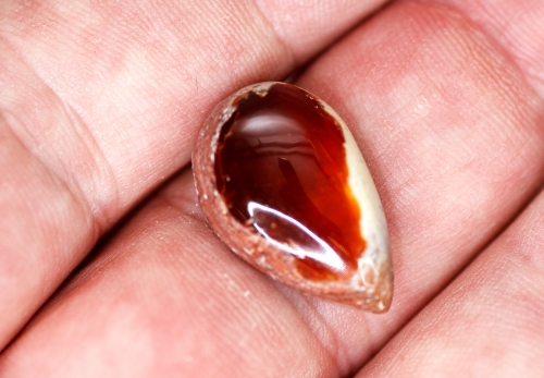 Mexikanischer Feueropal ca. 10,6 Carat Cabochon Nr. 3