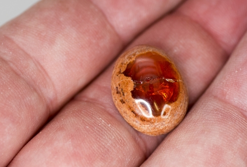Mexikanischer Feueropal ca. 11,7 Carat Cabochon Nr. 4
