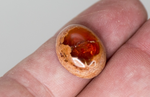 Mexikanischer Feueropal ca. 11,7 Carat Cabochon Nr. 4