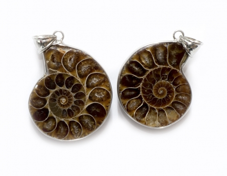 Ammoniten-Anhänger gefasst, Rückseite teilweise opalisiert