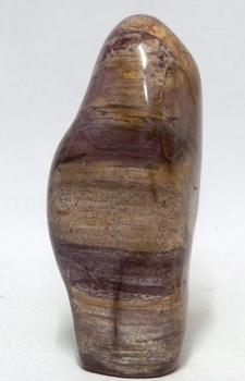 Petrified wood, Madagascar, trunk polished No. 7, 180 million years old