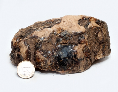 Wood Amber, blauer Bernstein mit Struktur Nr. 3, Sumatra, 400 Gramm