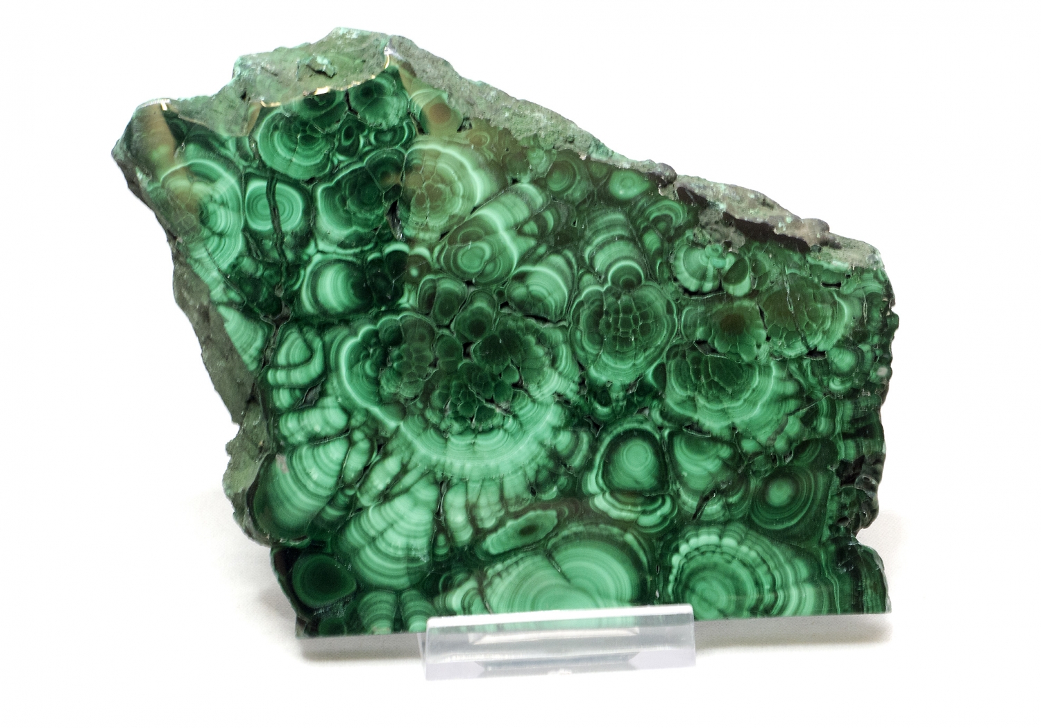 Malachit AAA Anschliff Top-Qualität Malachit-Platte XL Scheibe Kongo beidseits poliert no 1