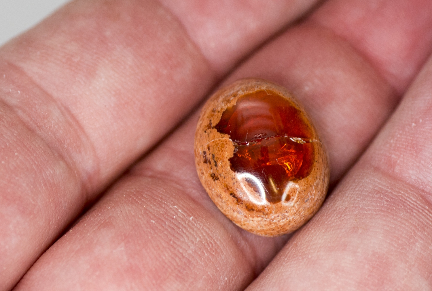 Mexikanischer Feueropal ca. 11,7 Carat Cabochon Nr. 4