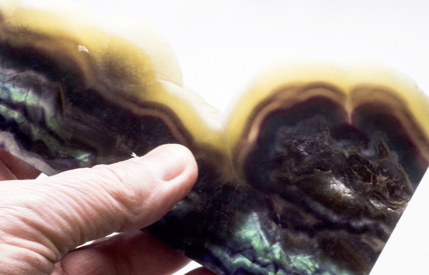 Regenbogenfluorit Spitze XL, Flourit Anschliff, Flourit mit Calcitrand Nr. 1