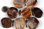 Petrified wood, disc stones, polished