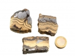 Schalenblende - Sphalerit/Galenit/Bleiglanz Rohstein Anschliff